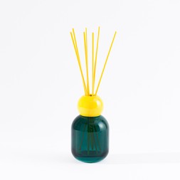 30968788 Elements Grapefruit & Wild Mint Diffuser £12
